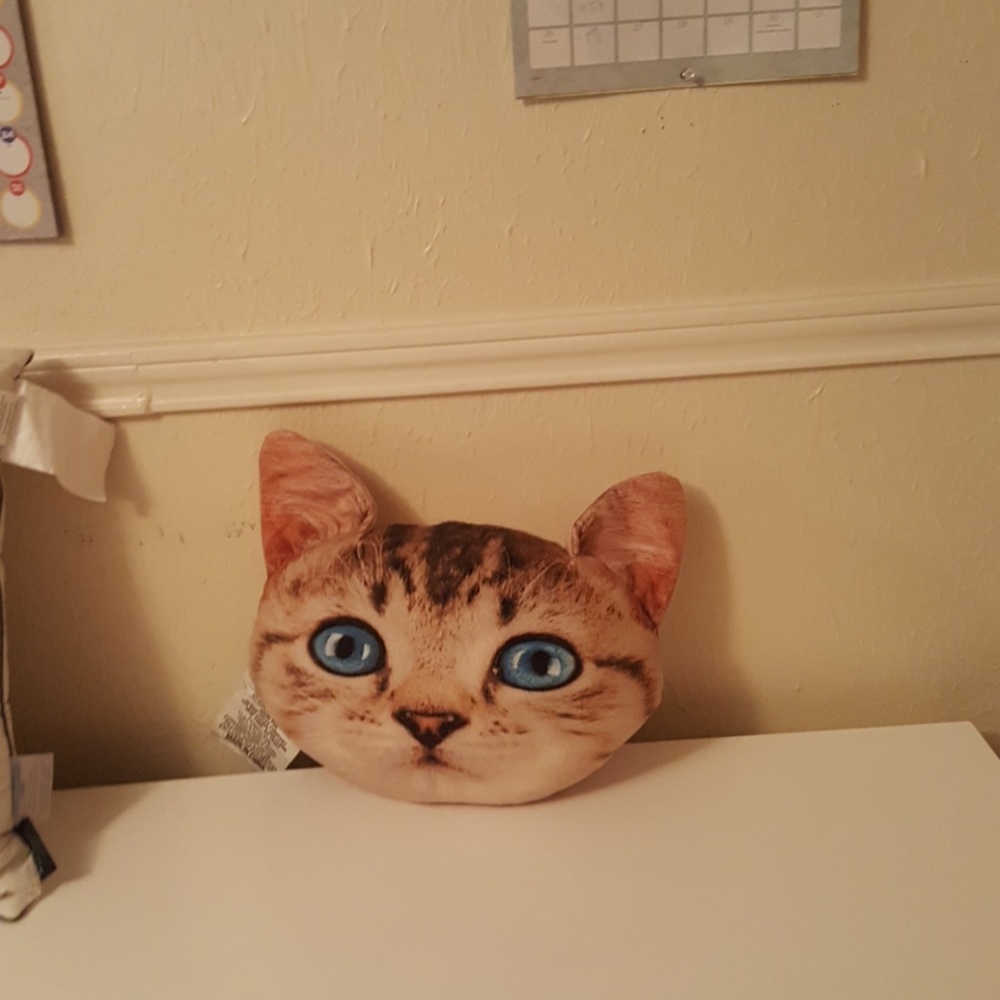Cat  toys lil Wayne